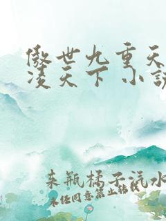 傲世九重天 风凌天下 小说