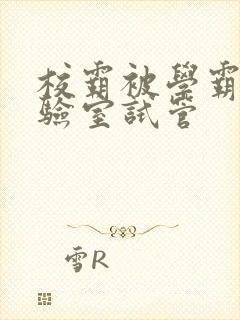 校霸被学霸压实验室试管