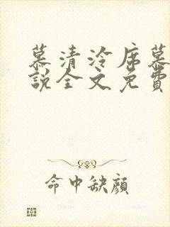 慕清泠席慕深小说全文免费阅读