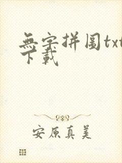 无字拼图txt下载