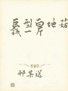 巨型白地菇多少钱一斤