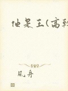 他是王(高干)