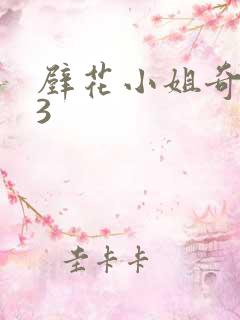 壁花小姐奇遇记3