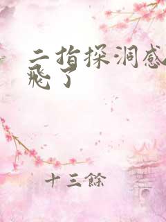 二指探洞感觉要飞了