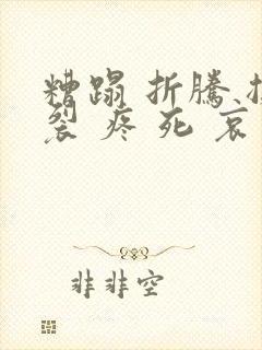 糟蹋 折腾 撕裂 疼 死 哀求