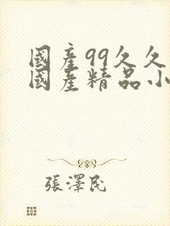 国产99久久久国产精品小说