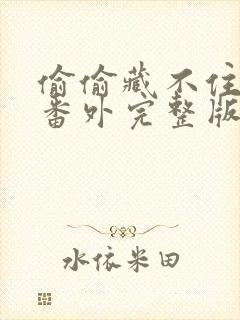 偷偷藏不住新婚番外完整版