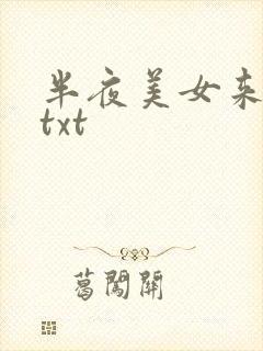 半夜美女来敲门txt