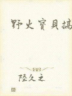 野火宝贝搞定你