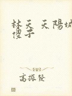 林天 天阳城 傻子