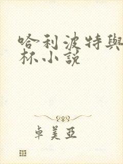 哈利波特与火焰杯小说