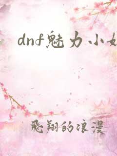 dnf魅力小妞