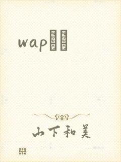 wapС˵