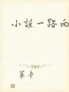 小说一路向西