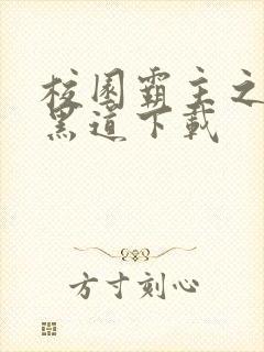 校园霸主之一统黑道下载