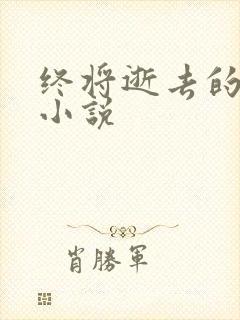 终将逝去的青春小说