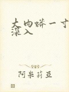 大肉蟒一寸寸地深入