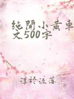 纯开小黄车小短文500字