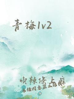 青梅1v2