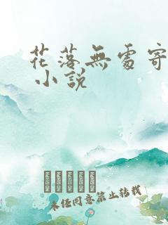 花落无处寄相思 小说