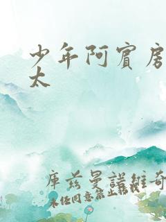 少年阿宾房东太太