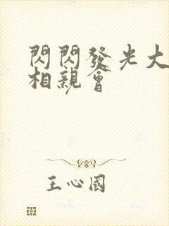 闪闪发光大团圆相亲会