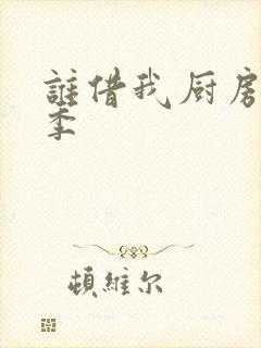 谁借我厨房第二季