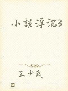 小说浮沉3