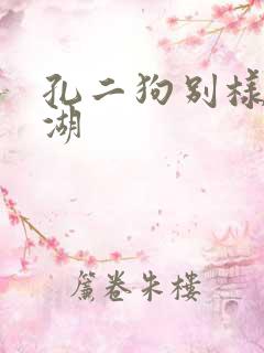 孔二狗别样的江湖