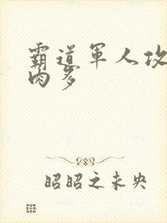 霸道军人攻现代肉多