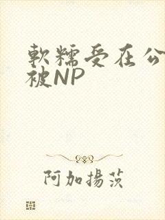 软糯受在公交车被NP