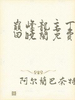 巅峰龙主丁长顺田晓兰免费阅读