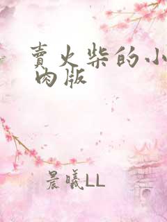 卖火柴的小男孩 肉版