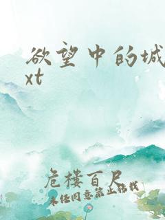 欲望中的城市txt