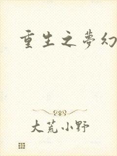 重生之梦幻年代