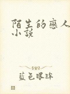 陌生的恋人原著小说