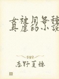 女被用各种性器具虐的小说