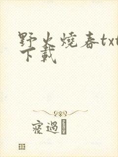 野火烧春txt下载