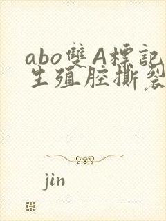 abo双A标记生殖腔撕裂