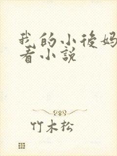 我的小后妈免费看小说