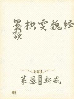 墨枳雯魏绎颔小说