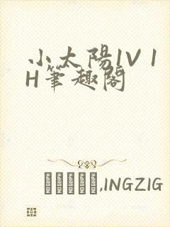 小太阳1V 1H笔趣阁