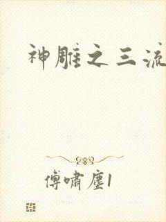 神雕之三流