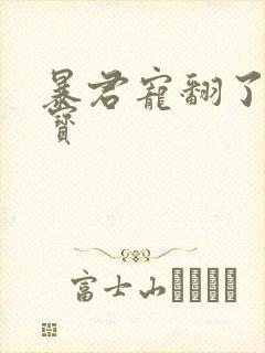 暴君宠翻了小娇宝