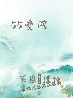 55爱网