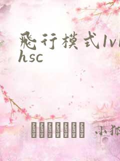 飞行模式1v1hsc