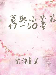 翁与小莹第十部47一5O章