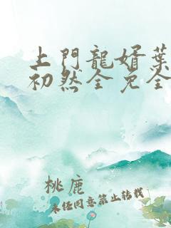 上门龙婿叶辰萧初然全免全集