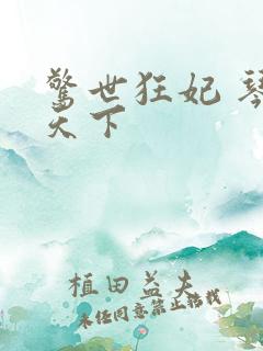 惊世狂妃 琴战天下