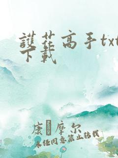 护花高手txt下载